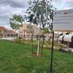 Rynek miejski w Jarosławiu