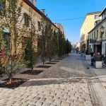 widok na deptak z drzewami w Rzeszowie