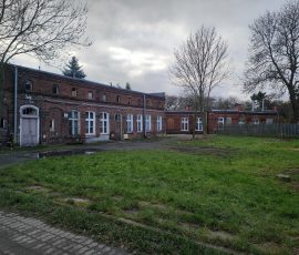 Kompleks budynków mieszkalnych przy ul. Reduty Dzik (Gdańsk Śródmieście) przygotowywany do rewitalizacji wraz z placem zieleni pomiędzy budynkami. Na zdjęciu widoczne niskie zabudowania mieszkalne z czerwonej cegły, przed którymi widoczny częściowo utwardzony dojazd, zielony trawnik i częściowe drewniane ogrodzenie